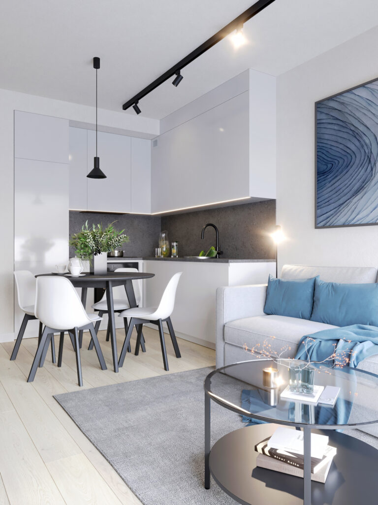 dm-homes-wiziualizacja-parter-8